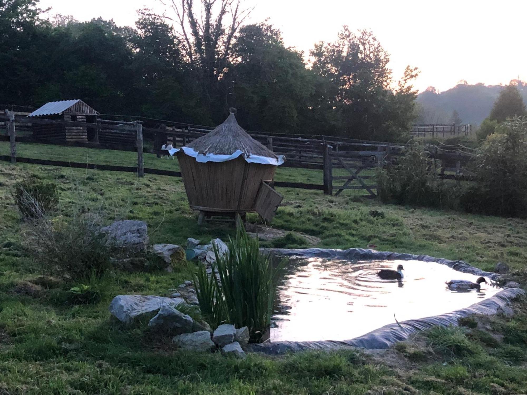 Bed and Breakfast Le Champ Des Possibles Manerbe Экстерьер фото